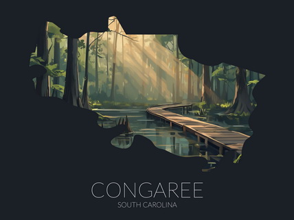 Congaree National Park silhouette artwork illustration